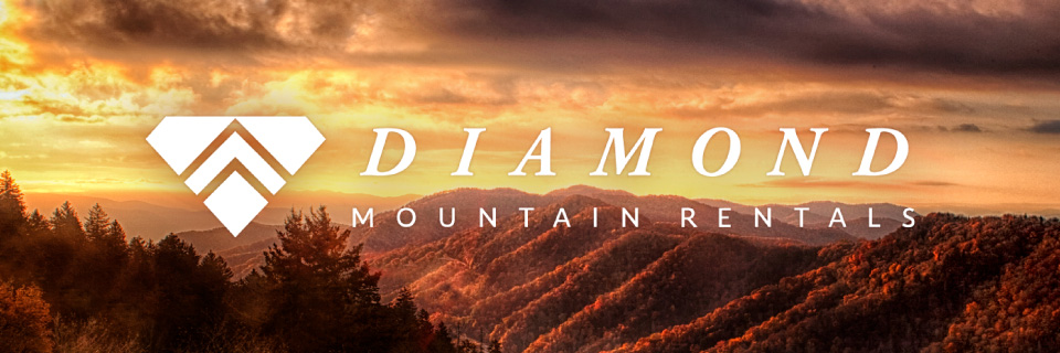 Diamond Mountain Rentals banner.