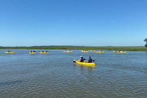 Enjoy the Drift Wood Beach Tour from Aqua Dawg Kayak Company at Tybee Island, Georgia, which is available for free at Xplorie participating properties.