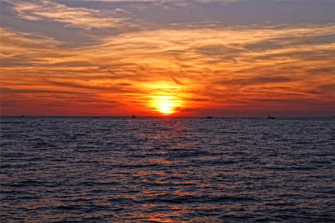 Passengers enjoy a free sunset dolphin cruise aboard the Cattywampus in Fort Walton Beach, Florida, which is available for free to guests staying at Xplorie participating properties.