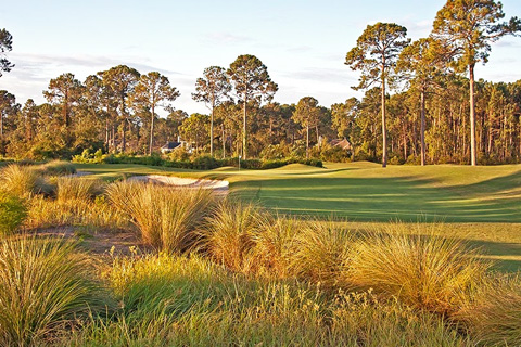 Enjoy a round of golf on the Robert Cupp Course at Palmetto Hall Golf & Country Club on Hilton head Island, South Carolina, where guests staying at Xplorie participating properties can enjoy a free round of golf.