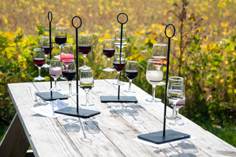 Enjoy a wine flight tasting at Salted Vines Vineyard & Winery in Frankford, Delaware. which is available for free from Xplorie participating properties.