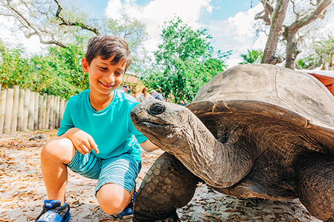 Explore animals from all over the world at Zoo Tampa in Tampa, Florida, which is available for free at Xplorie participating properties.