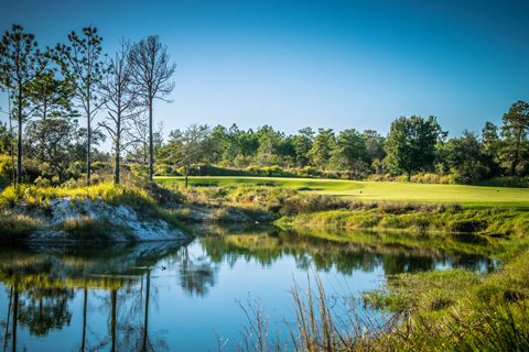 Enjoy a free round of golf at the beautiful pristine course of Windswept Dunes in Destin, Florida from Xplorie partcipating properties.